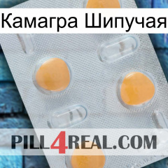 Камагра Шипучая 24